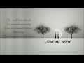 Love Me Now ༺♥༻ Gino Vannelli