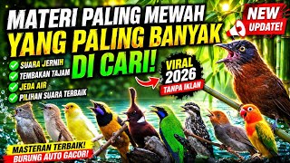 Download lagu Masteran pilihan terbaik 2026 || Pencetak handal materi singo edan❗️❗️ mp3