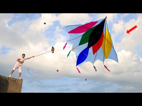 Rambo Kite Flying & Cutting Gudda Kite Flying 2025   