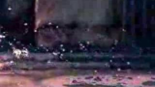 Sympathy for Tomorrow.