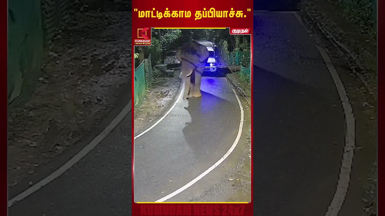 மாட்டிக்காம தப்பியாச்சு! நீலகிரியில் யானையுடன் திக் திக் தருணம்!|Forest| Viral Video| Kumudam News