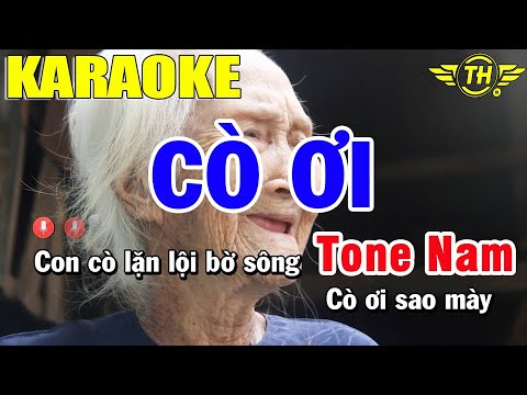 Karaoke Cò Ơi Tone Nam | Karaoke Trọng Hiếu