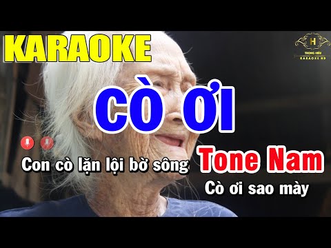 Karaoke Cò Ơi Tone Nam | Karaoke Trọng Hiếu