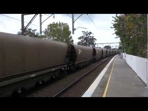 Point Clare Saturday - SSR Coal with C503 leading 4/10/14