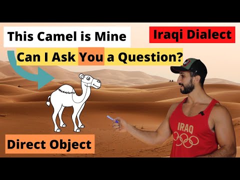 This Camel is Mine, Direct Object in Iraqi Dialect - Lesson 10