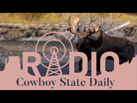 CSD Radio Newscast 1 01