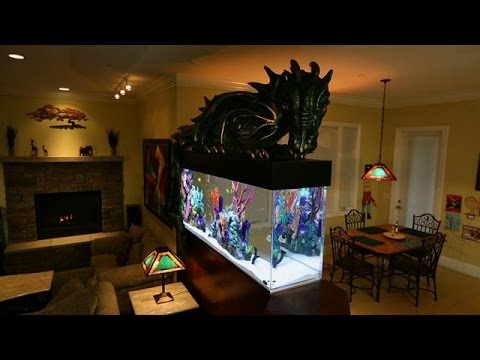 Magical Dragon Fish Tank