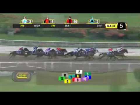 2016 Magic Million sale stakes,  Jupiter Gold, Fujii