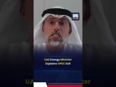 UAE Energy Minister Says OPEC Exit Based on National Interests Amid Global Energy Crisis