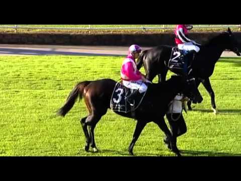 Belmont Park, 30/04/2016 - Race 7 - UNIVERSAL LAW - Mr Bob Peters & William Pike