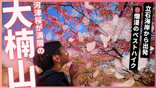 【大楠山】登山　前田川遊歩道を歩いて関東百名山100番目山頂へ！秋谷・立石海岸からスタート！奇岩「立石」の夕日もお届け！