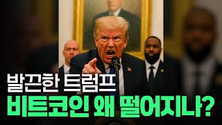 디파이 농부 조선생 | Profess