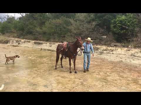 Don’t forget the flex and backup.