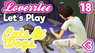 Cats & Dogs #18: More Medi Makeover