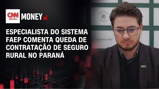 Vídeo: Especialista do sistema Faep comenta queda de contratação de seguro rural no Paraná | CNN AGRO NEWS
