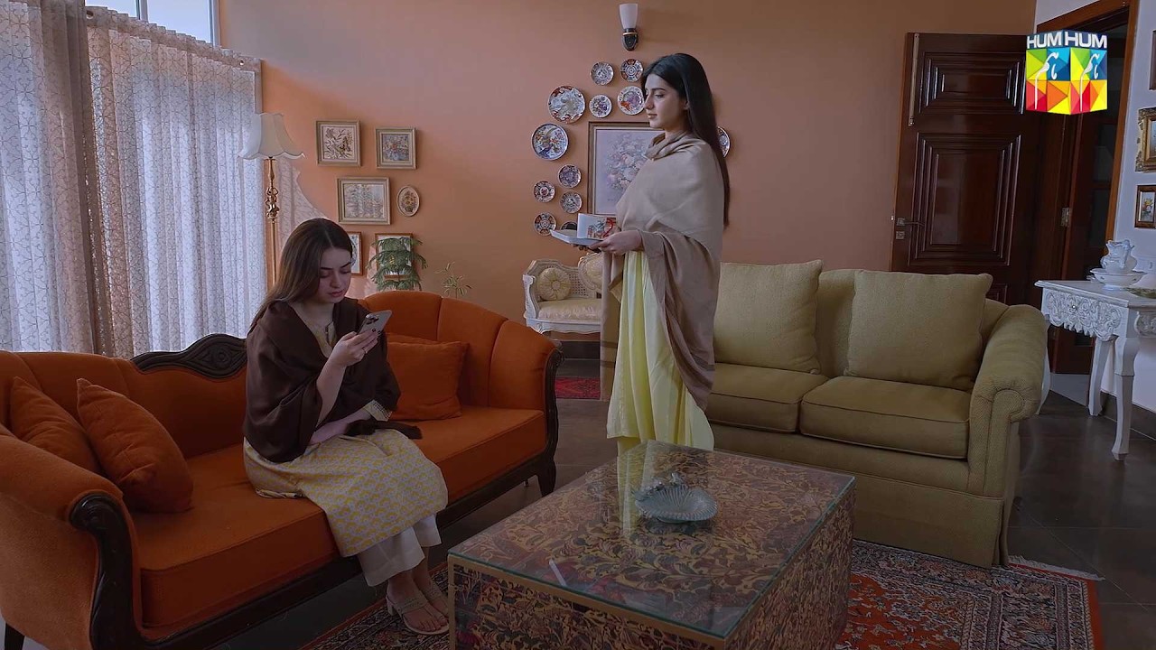 Kya Zeenia Ne Faryal Ko Chai Mein Zehar Diya..? #hadddrama #MinsaMalik #nabeelzuberi - HUM TV