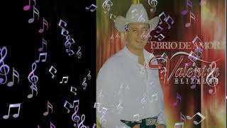Una Noche Para Dos - Valentin Elizalde, El Gallo de Oro | Ebrio de Amor