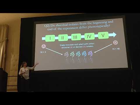 Batstone: Experimental evolution results in rapid adaptation of rhizobia to their local legume host