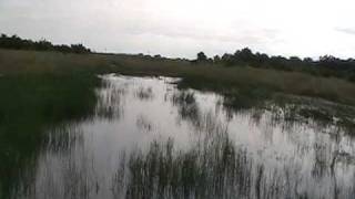 AIRBOAT + BLACK MUD = SOMEONE GETIIN EJECTED!