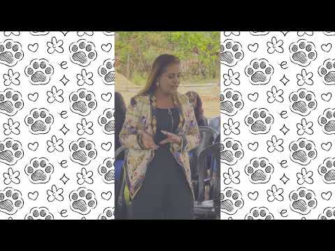 https://youtu.be/vitsgMF041E
