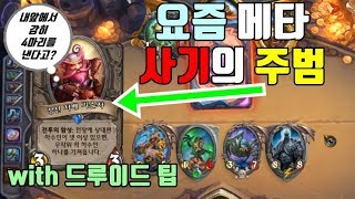 요즘 메타 사기의 주범(with 드루이드팁)