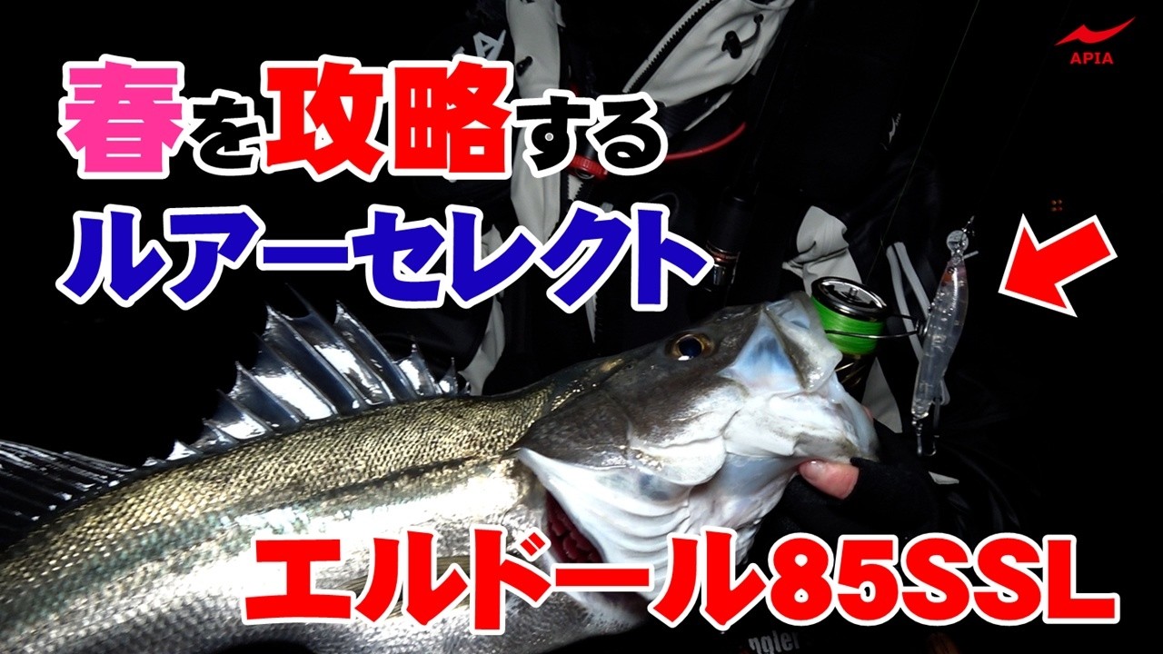 【2026年春イチオシ】春を攻略するルアーセレクト。新定番「エルドール85SSL」