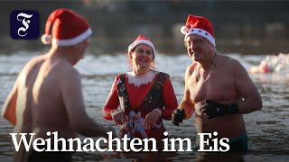 Seit 40 Jahren baden die Berliner Seehunde