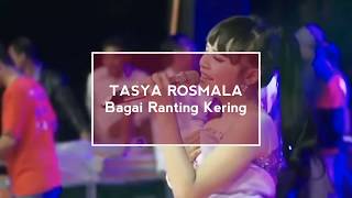 Download lagu Tasya Rosmala - Bagai Ranting Kering | Musik Lirik mp3 Download lagu Tasya Rosmala - Bagai Ranting Kering | Musik Lirik mp3