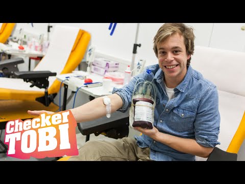 Der Blut-Check | Reportage für Kinder | Checker Tobi