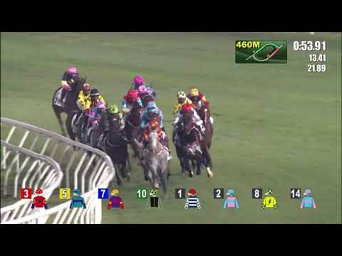 12/12/2021 (252) Navas Two - R Maia