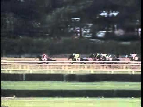 Easy Goer - 1989 Belmont Stakes