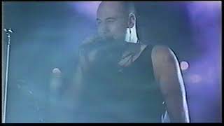 FISH --- LAVENDER IN THE RAIN