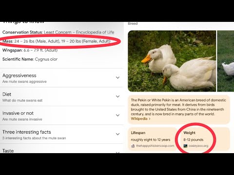 My reaction to the ugly duckling as an anolong horror by ​@tooth_bug