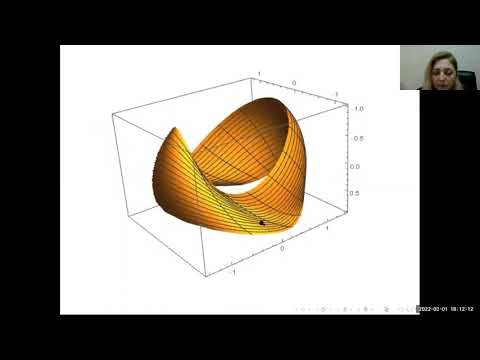 MATH2022 - Accretive Surface Growth by using Bézier Curve Fitting, Gul Tug