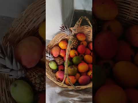 casa da minha tia #comercinho do Bruno mg