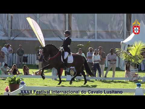 XXXII FIPSL - 210919 Modelos e Andamentos Campeão Macho montado