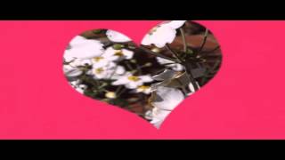 Aranjuez la tua voce               Dalida