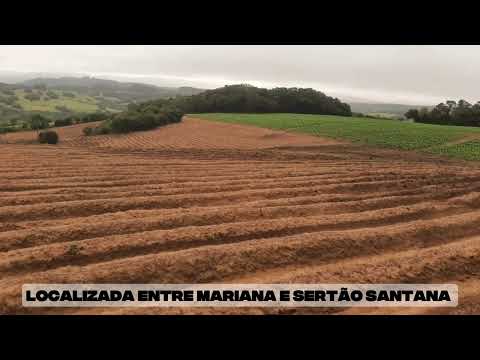 12 HECTARES, VENDO EM MARIANA PIMENTEL RS, TERA DE AGRICULTURA.