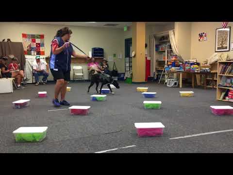 NW3 Culvert Reno 06.16.2018