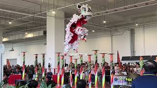 [4K] PHB 平福武  @ 2026 Antica Cup 新马高桩争霸赛 Acrobatic Lion Dance Comp 22 Aug 2026