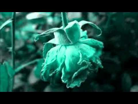 MC KINOX la desepcion