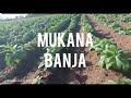 DR SIMBI YAMOTO Ft FEBBY Mukana Banja Prod DJ Bongo