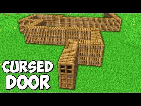 Focus Craft - Minecraft - I found a LONGEST DOOR in Minecraft ! What's INSIDE the CURSED DOOR ?