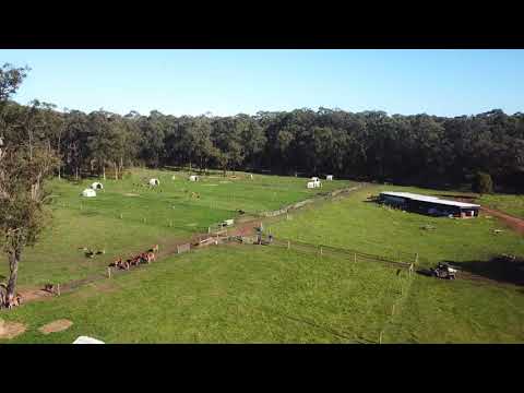 Organic farm transition eased by power probiotics – Daviesway Victoria