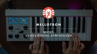 Video thumbnail for Mellotron Micro | Synthesizer | Vintage King by Vintage King