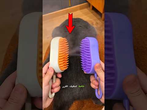 شاهدوا كيف تخلصت القطة من شعرها المتساقط! 😂✨