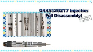 【7-4】0445120217 Injector: Full Disassembly!