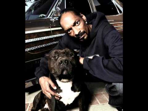 Snoop Dogg feat. Everlast & Willie Nelson-My Medicine