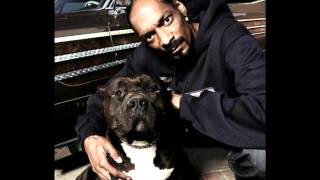 Snoop Dogg feat. Everlast & Willie Nelson-My Medicine