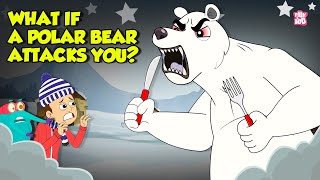What if a Polar Bear Attacks You? | How to Survive Bear Attack? | Deadliest Animals | Dr Binocs Show